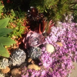 Meet your Posher, Gwenne